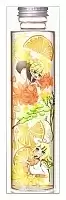    Vocaloid Bottle Kagamine