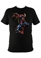  Spider Man