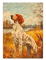 ������ �������� ���������� ������ / ������