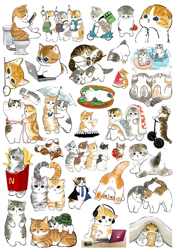 �������� ����� ������