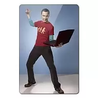    The Big Bang Theory 351833
