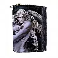   Castlevania 317698