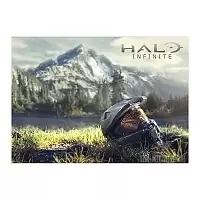   "Halo Infinite" Helmet