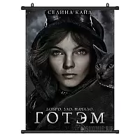   Gotham Selina Kyle
