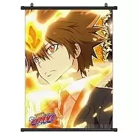 ������� �������� Katekyo Hitman Reborn! Tsunayoshi Sawada