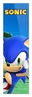 �������� Sonic 349893