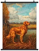 ������� �������� ���������� �������� / ������