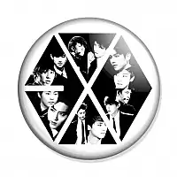 ������ EXO Logo