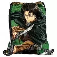    Shingeki no Kyojin 302360