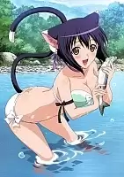   Shining Hearts /   - -