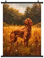 ������� �������� ���������� ������� ������ / ������