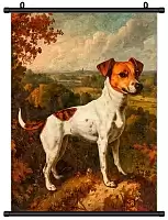 ������� �������� ����-������-������ / ������