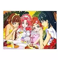   Go! Princess Precure - Haruka Haruno, Minami Kaidou, Kirara Amanogawa, Towa Akagi