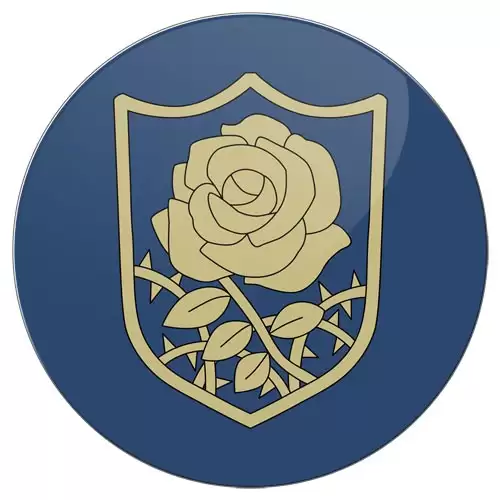 ���������� ������� ������ ��������� ������� ������ ������ - Blue Roses Squad �� ����� � ����� ������ ������ / Black Clover / ׸���� ������