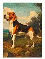 ������ �������� ����� / ������