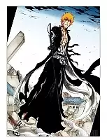    - Ichigo