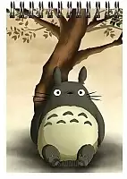    A6 Tonari no Totoro