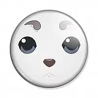   Sadaharu face