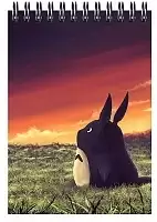    A6 Studio Ghibli - Totoro