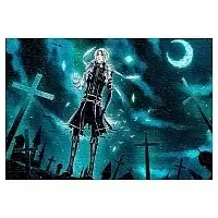  D.Gray-man ( A3, 252 ) 67000