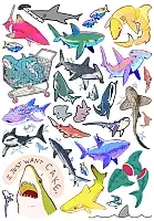 �������� ����� / Sharks