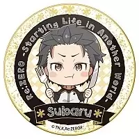 ������ ������� ����� � �������������� ���� � ���� Subaru