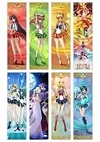   Sailor Moon No.3