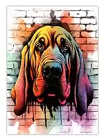 ������ �������� ��������� / ��������