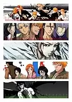   Bleach No.1