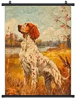 ������� �������� ���������� ������ / ������