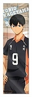 �������� Haikyuu!! - Tobio Kageyama