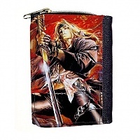   Castlevania 317694