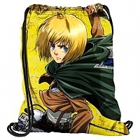   Shingeki no Kyojin 302358