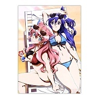   "Senhime Zesshou Symphogear" Tsubasa Kazanari, Maria Cadenzavna Eve