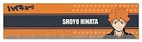 (18) Haikyu!! To The Top - Hinata Shoyo