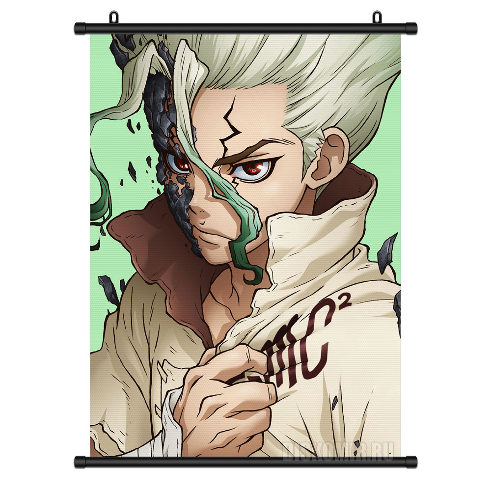 ���������� ������� ������� �������� ������ ����� Ishigami Senkuu �� ����� � ����� ������ ����� / Dr. Stone / Doctor Stone