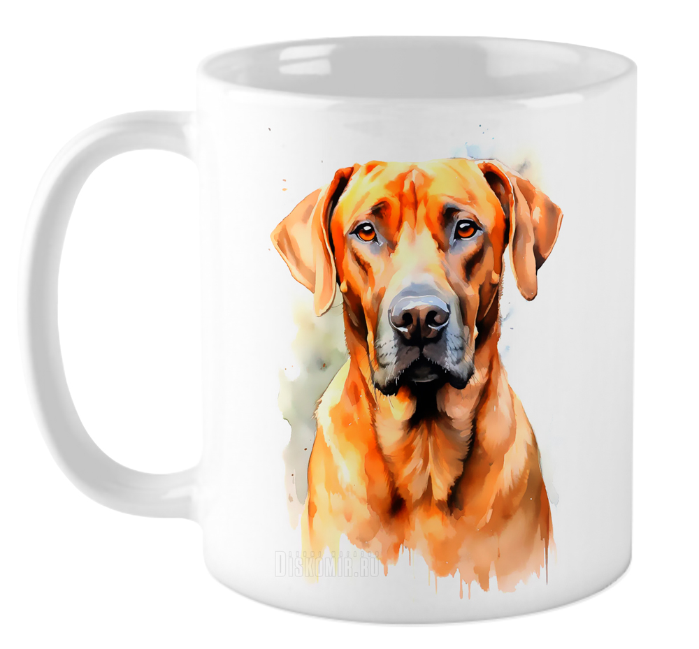 ���������� ������� ������������ ������ �� ����� �������� / ������ / ������