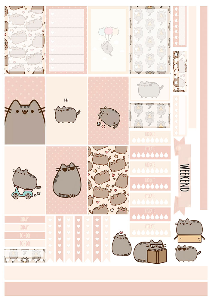 �������� ��� �������� ����������� No.11 ������ �����