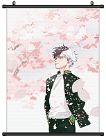    / Haruka
