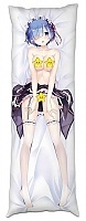     ReZero 5