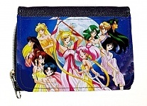   Bishoujo Senshi Sailor Moon 47772
