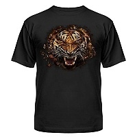  Tiger / 