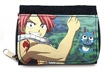   Fairy Tail 41063