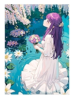    / ,    
