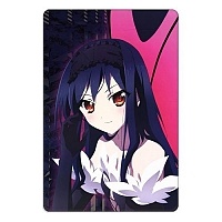    Accel World 310409