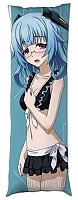      Infinite Stratos -  