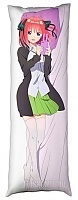      /  