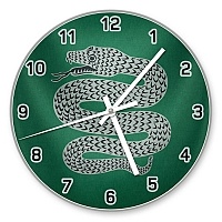   Harry Potter Slytherin