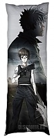   Psycho-Pass - Shinya Kougami, Akane Tsunemori