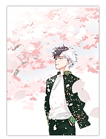   Haruka Sakura / Wind Breaker